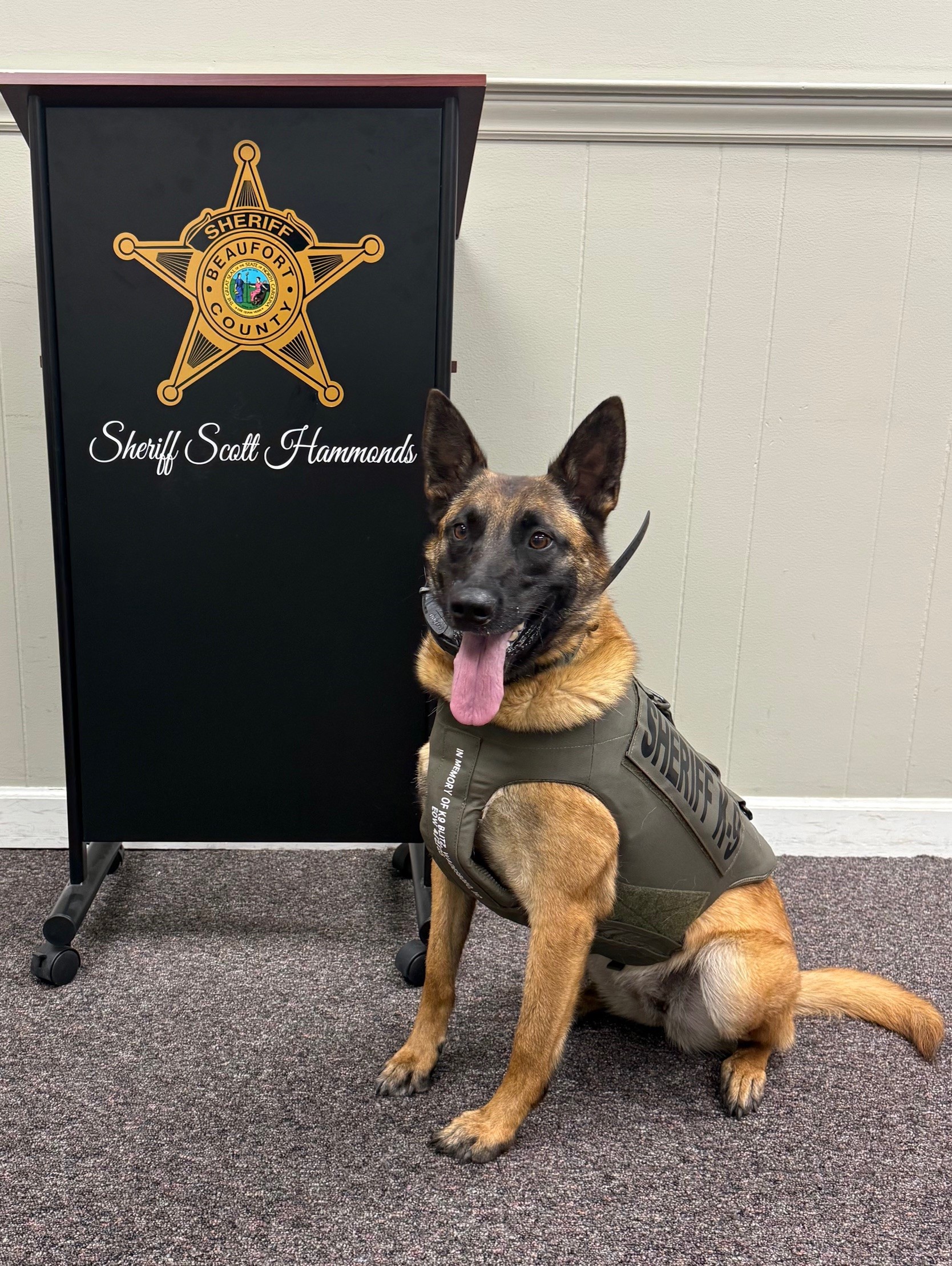 K-9 Vested MYA
