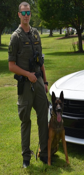 rsz_1rsz_jones_rocky (6)